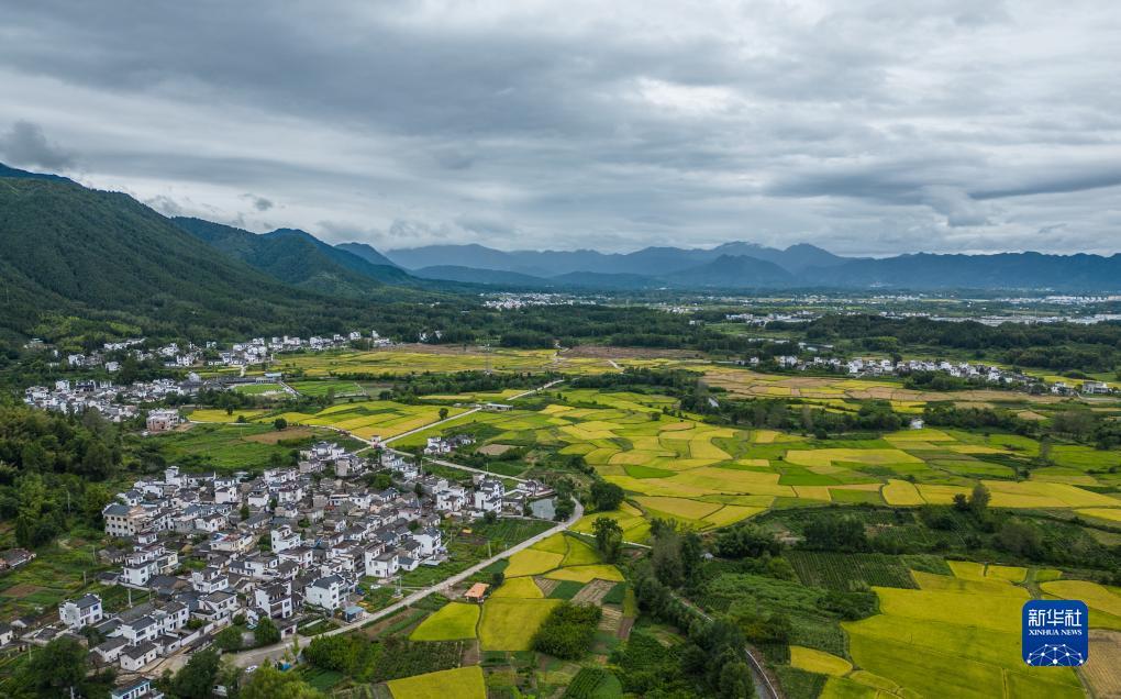 威尼斯7908.com